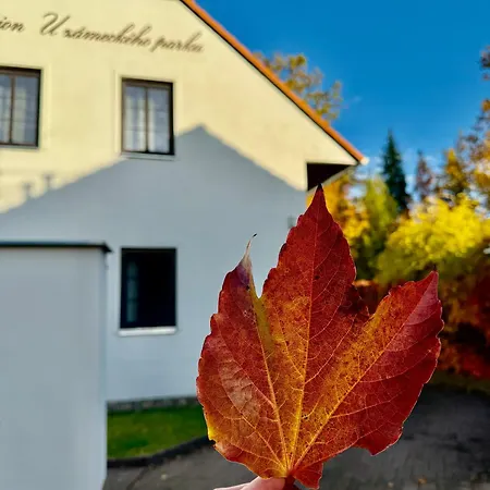U Zameckeho Parku 게스트하우스 Třeboň