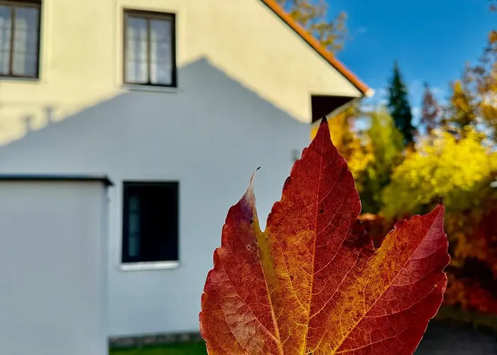 U Zameckeho Parku 招待所 Třeboň